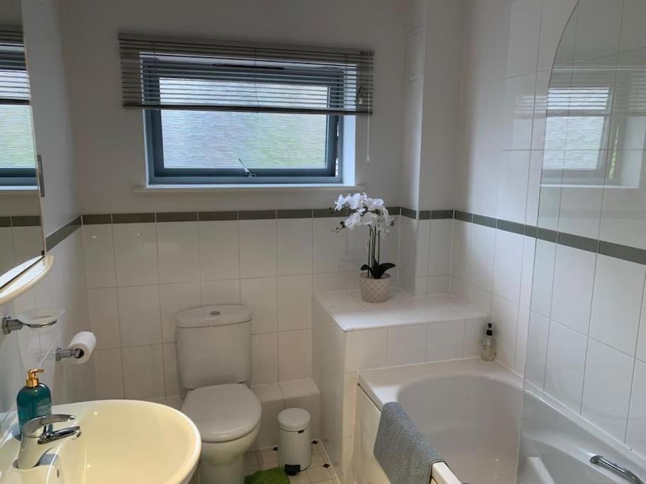 Brownberry Tree Serviced Apartment Cambridge-i reptér Kültér fotó